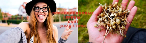 мяу мяу мука Липки